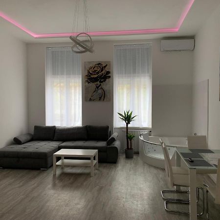 Luxury Apartment In The Central Budapeszt Zewnętrze zdjęcie